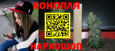 дмт Будённовск