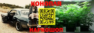 дмт Будённовск